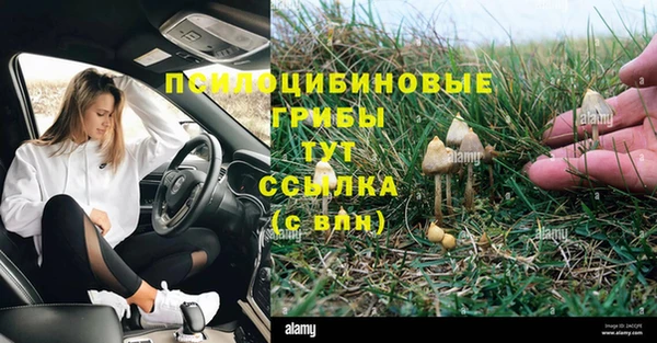 метадон Верея
