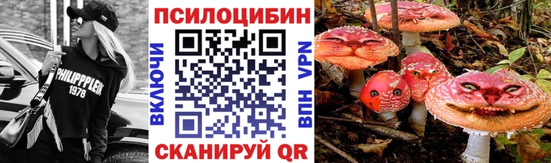 закладка  Киренск  OMG как зайти  Псилоцибиновые грибы мицелий 